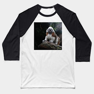 Cotton Top Tamarin Baseball T-Shirt